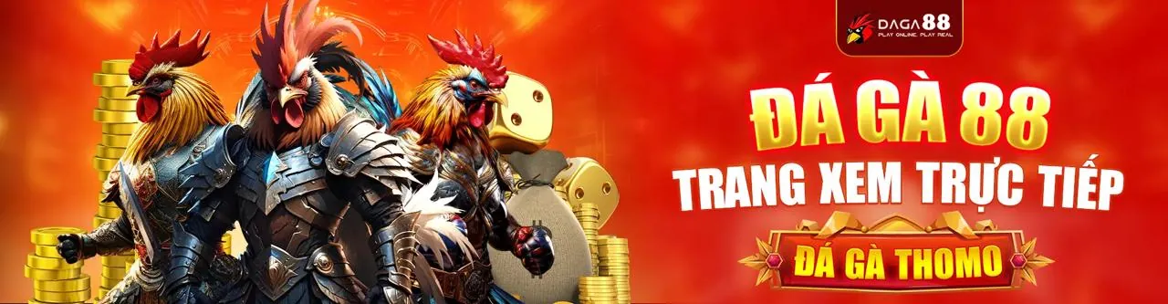 Sân đấu đá gà trực tuyến sôi động tại ranvip đăng nhập