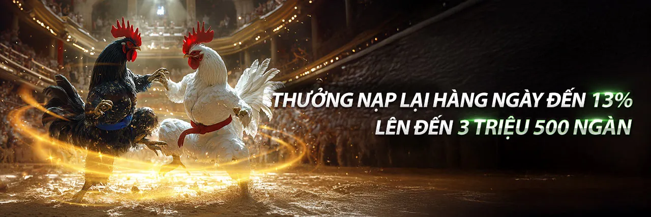 Hướng dẫn đăng nhập Ranvip an toàn và nhanh chóng
